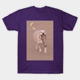 Missy T-Shirt